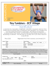 ECP Village Flier